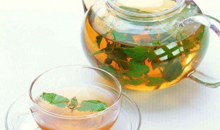 霍香作用功效作用 霍香泡水功效和作用