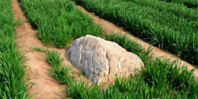 世界上最小的山是哪一座山 最矮最小山在哪个地方