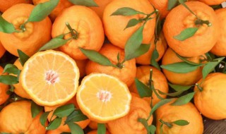 芦柑怎么挑甜不甜 芦柑如何挑甜不甜