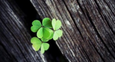 面子是自己挣的不是别人给的是什么意思