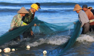 梦见抓白色的鱼是什么征兆 梦见抓白色的鱼是什么意思