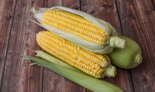 玉米多久能炖烂熟 玉米多长时间能炖烂熟呢