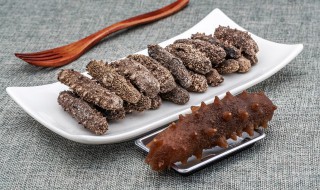 新鲜海参吃法大全 新鲜海参的正确吃法