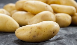 鸡蛋土豆丝怎么炒最好吃 土豆丝炒鸡蛋的做法