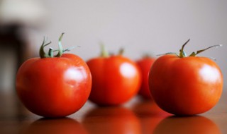 螃蟹能不能和西红柿一起吃 螃蟹和西红柿可以一起食用吗