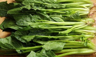 怎么保存菠菜不坏 如何保存菠菜不坏