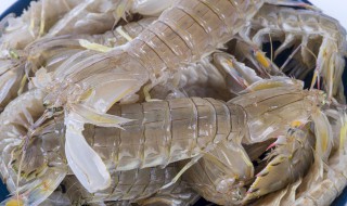 凤梨可以和虾一起吃吗 凤梨能不能和虾一起吃