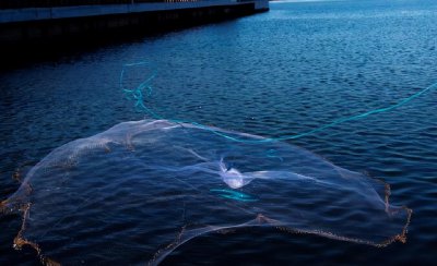 禁渔期什么时候开始和结束 一杆一钩可以在禁渔期钓鱼吗