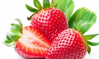 盆栽草莓冬天怎么保存 盆栽草莓怎样过冬