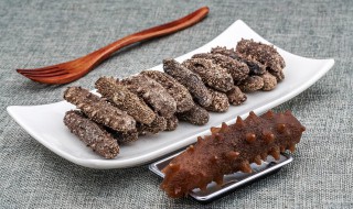 海参功效哪些人不宜吃海参 海参功效什么人不宜吃海参