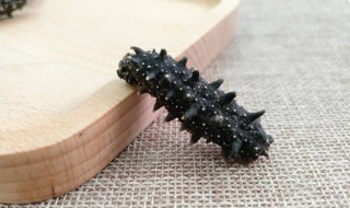 海参表面怎么清洗 海参表面如何清洗