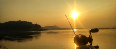 路亚竿调性怎么区分表 路亚竿硬度和调性对照表