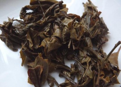 废茶叶做肥料 废茶叶可以做肥料吗