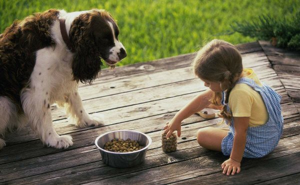 狗狗可以吃葡萄吗