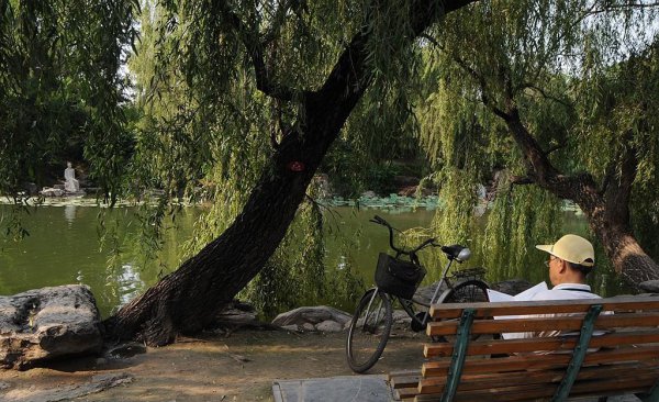 清华大学在哪个城市