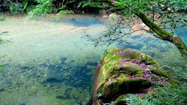 都匀市属于哪个市