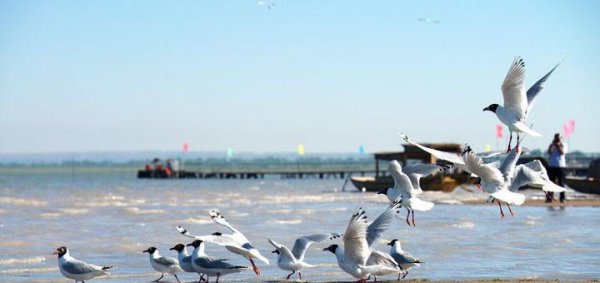 神木市属于哪个省市