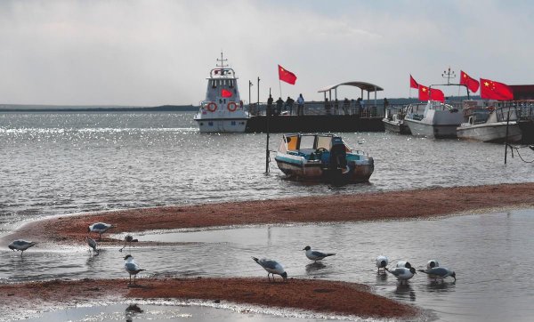 神木市属于哪个省市