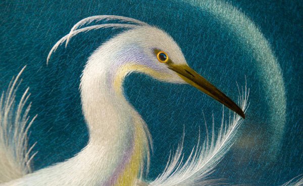 广州特产有哪些