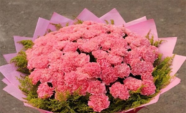 夏季有哪些花开放