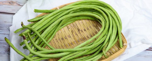 如何保存新鲜的豆角