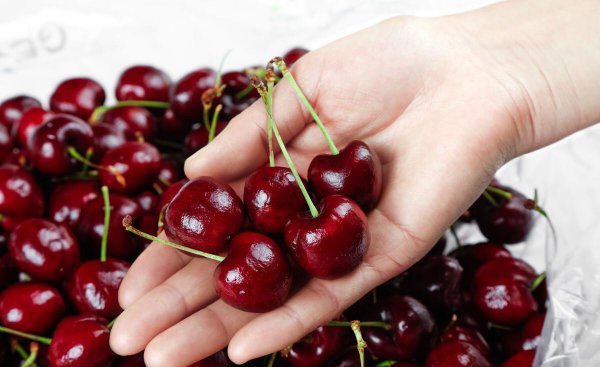 车厘子几j最好最划算