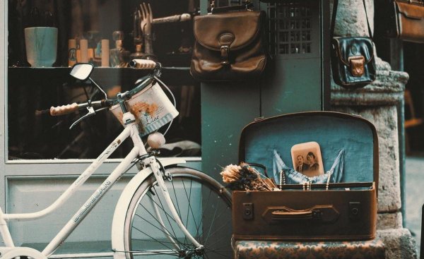 狮子座女生和什么星座最配