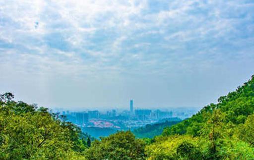 东莞有什么好玩的景点免费的