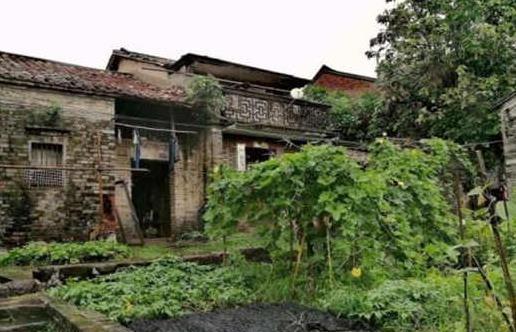 东莞有什么好玩的景点免费的