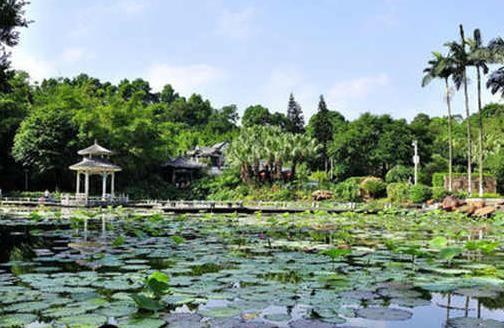 东莞有什么好玩的景点免费的