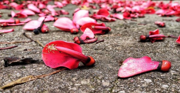 出轨女人的心理分析