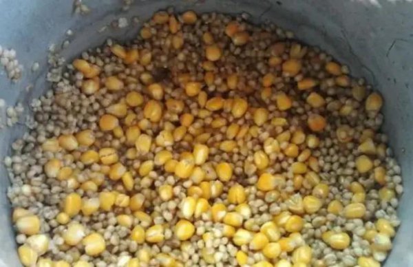 夏季用什么饵料钓鱼最好