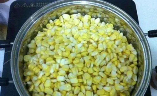 夏季用什么饵料钓鱼最好