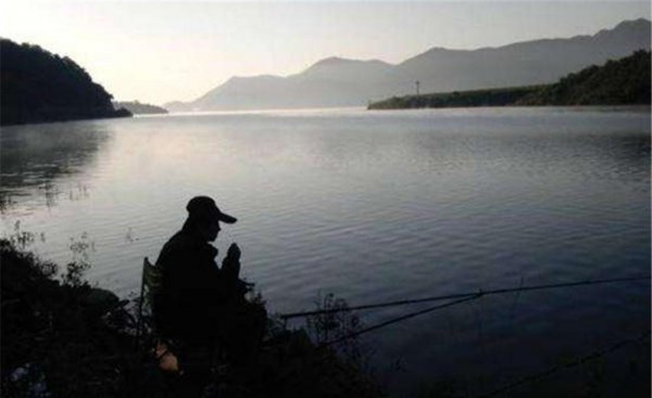 夜钓鲤鱼深水还是浅水好