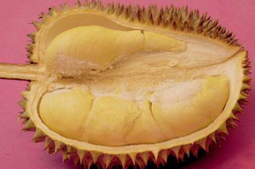 榴莲壳白瓤怎么保存多久