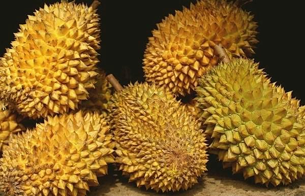 榴莲壳白瓤怎么保存多久