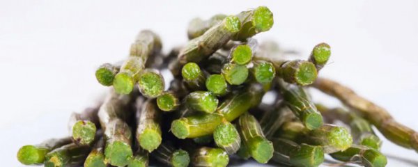 新鲜石斛食用方法