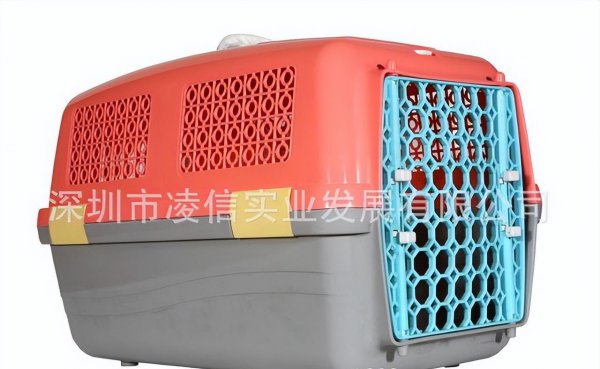 宠物托运流程及注意事项