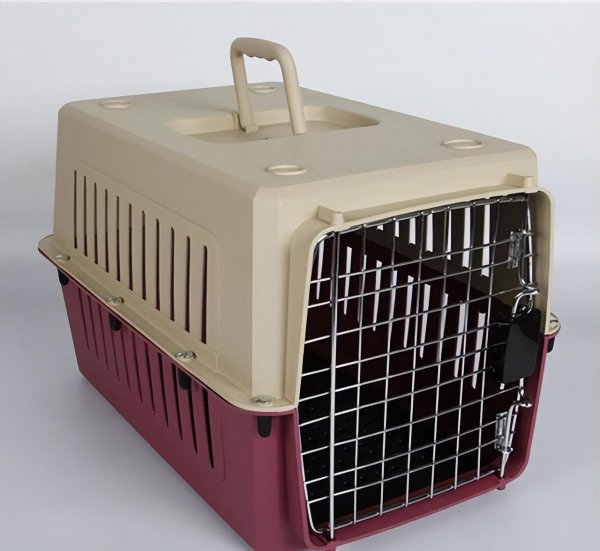 宠物托运流程及注意事项