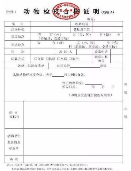 宠物托运流程及注意事项