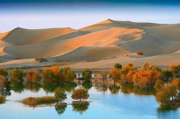 世界第一大沙漠在哪里