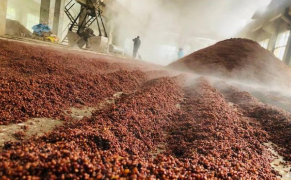 白酒保质期一般几年