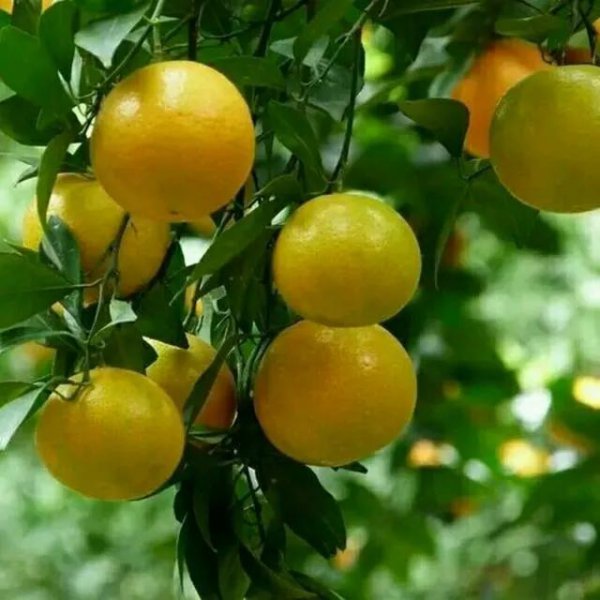 德庆县属于哪个城市