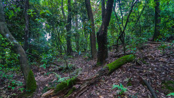 在农村种植什么赚钱快