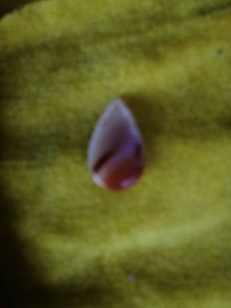 老狐狸比喻什么样的人物