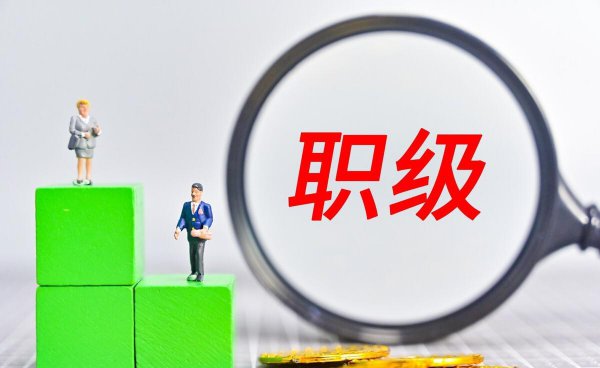 公司职位等级划分标准