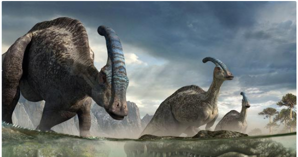 恐龙的寿命大概可以活多久