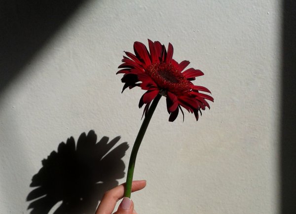 女孩喜欢你明显的肢体暗示