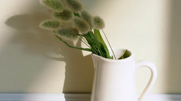 看似好欺负其实最厉害射手座