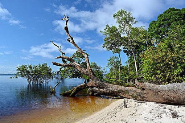 世界第一大河流是哪个